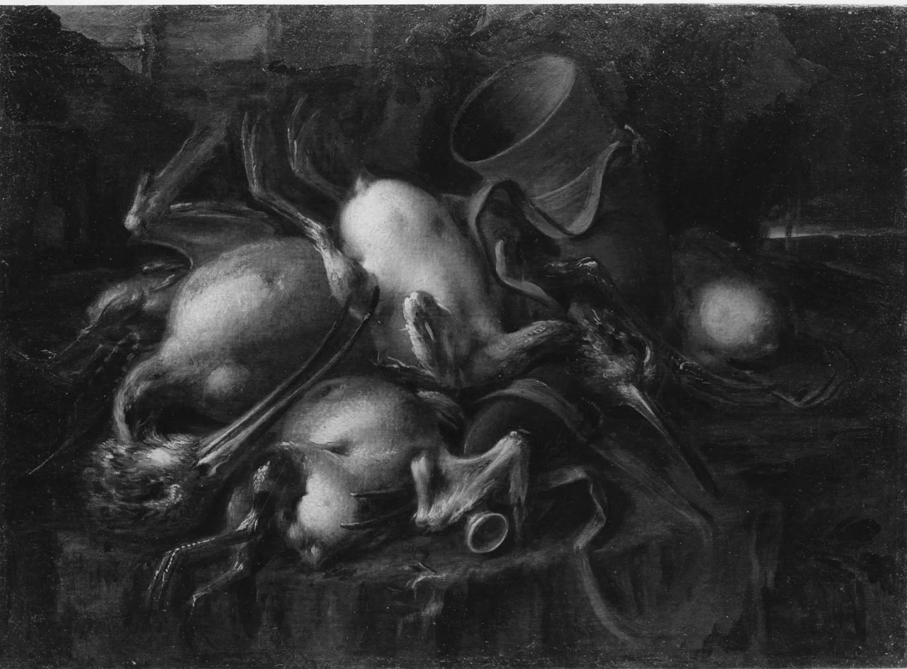 Uccelli - Museo della Natura Morta, Poggio a Caiano